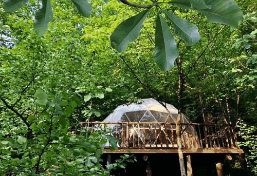 青城山熊猫谷都江堰一日游攻略,熊猫谷青城山都江堰一日游攻略