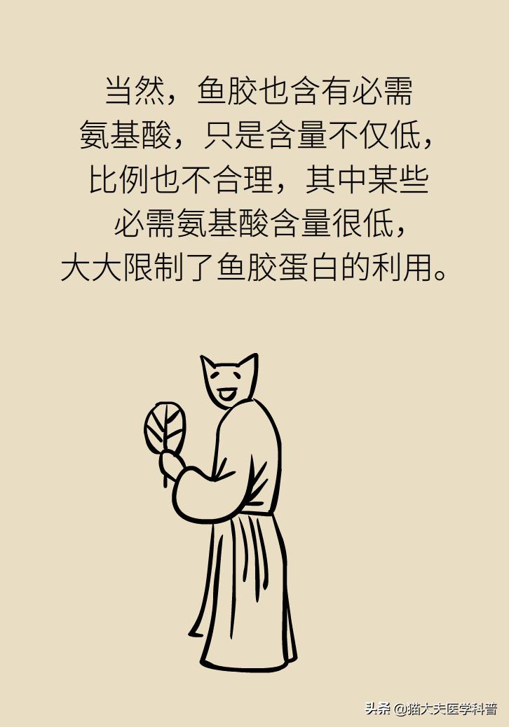 明星吃花胶,花胶的功效与作用排行榜