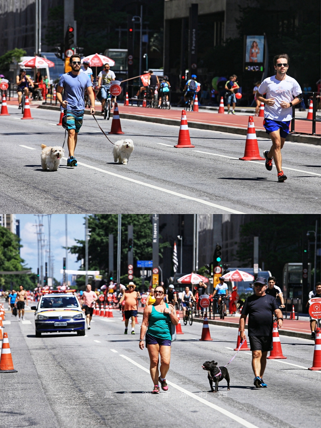 巴西人有多喜欢玩csgo,巴西人周末是不是很注重派对