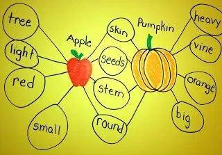 思维导图速记学霸秘籍,各种学霸整理好的思维导图
