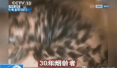 国家严禁售卖的东西,未成年人禁止网购