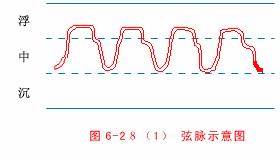 把脉七字口诀完整版,把脉入门口诀视频