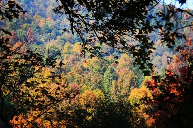 东南大学最美校花,全国公认大学最美校花