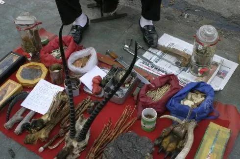 一个人在边境“河口”火车站边，遇假藏民售卖虎鞭、泡制方法