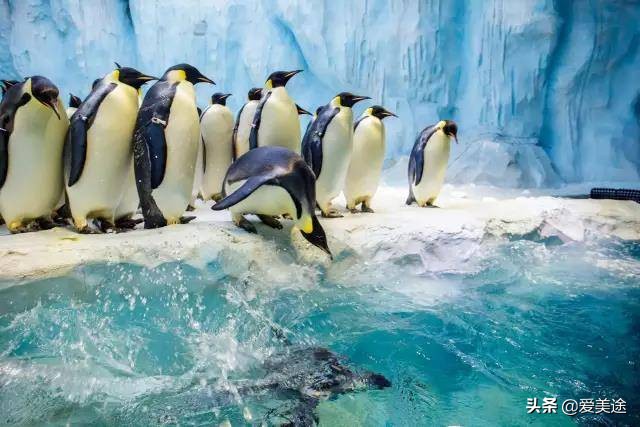 珠海长隆旅游公寓,珠海横琴长隆旅游度假公寓门票