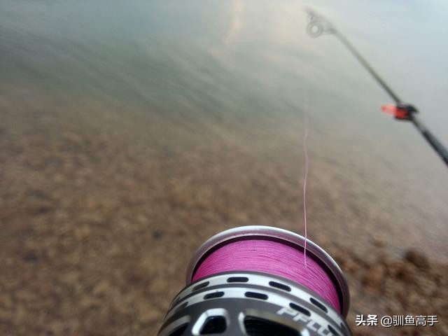 路亚赤眼鳟攻略,赤眼鳟路亚操作手法