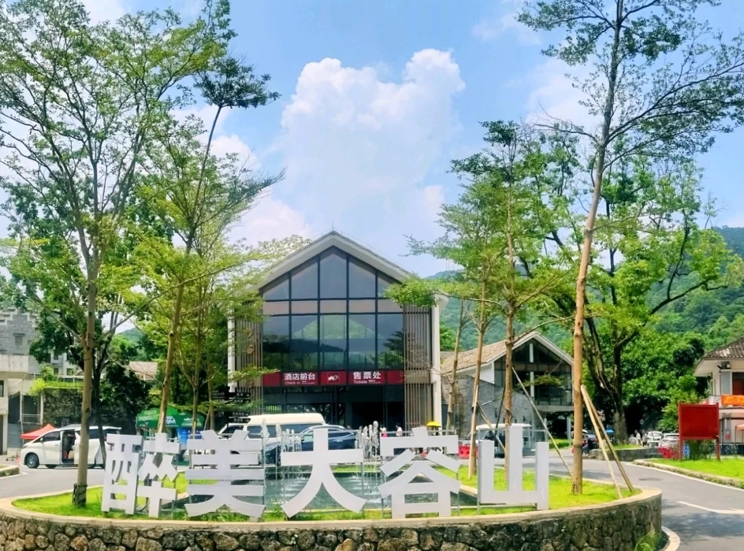 广西森林露营最佳的十大地点,广西高峰森林公园星空露营