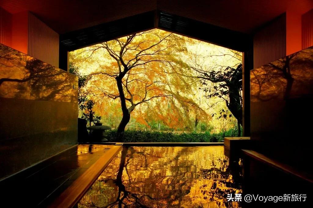 日本星野温泉酒店,日式旅馆星野度假村