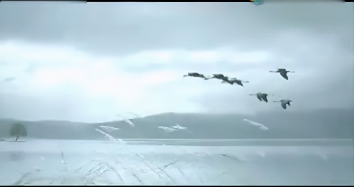 河南,“科教兴烟”一哥