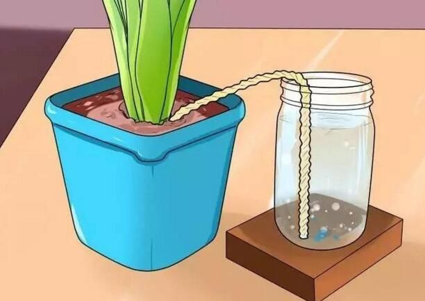 出差浇花神器会不会把水溢出,浇花神器假期出差自动浇水