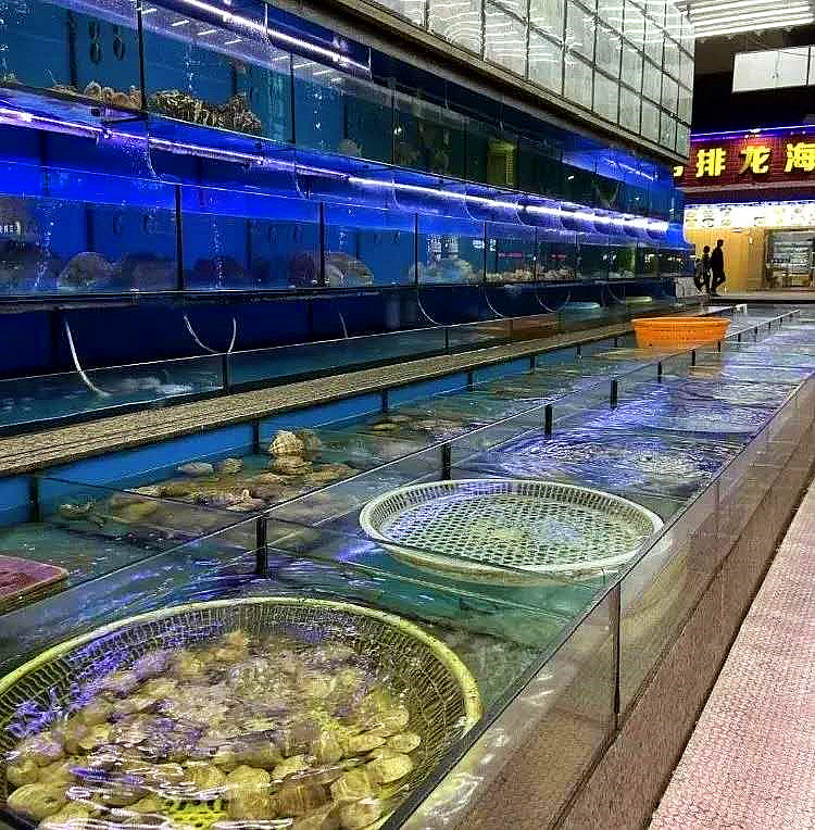 国庆舟山三日游最佳攻略,舟山朱家尖徒步旅游攻略