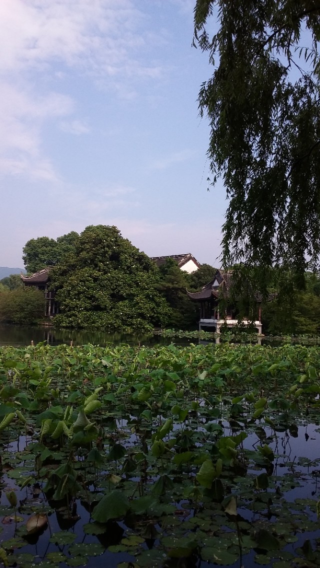 第二批西湖风景名胜区,杭州西湖的风景美如画