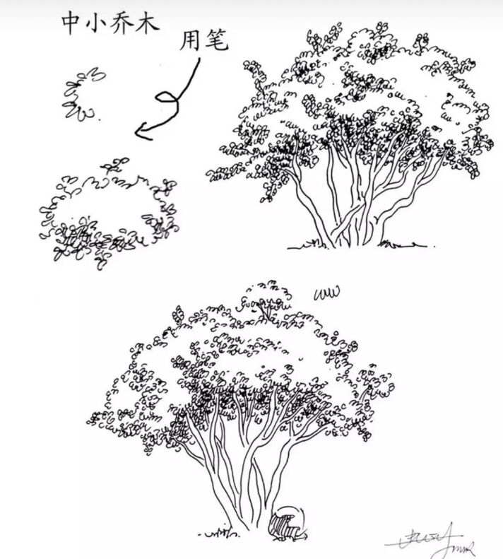 入门风景速写1000例临摹图,风景速写教你超简单的树木画法