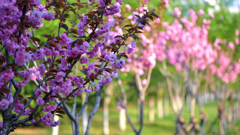 怎样使作文的立意深刻,作文如何点题突出中心