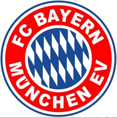 足坛十大豪门多特蒙德,世界足坛十大豪门惨案