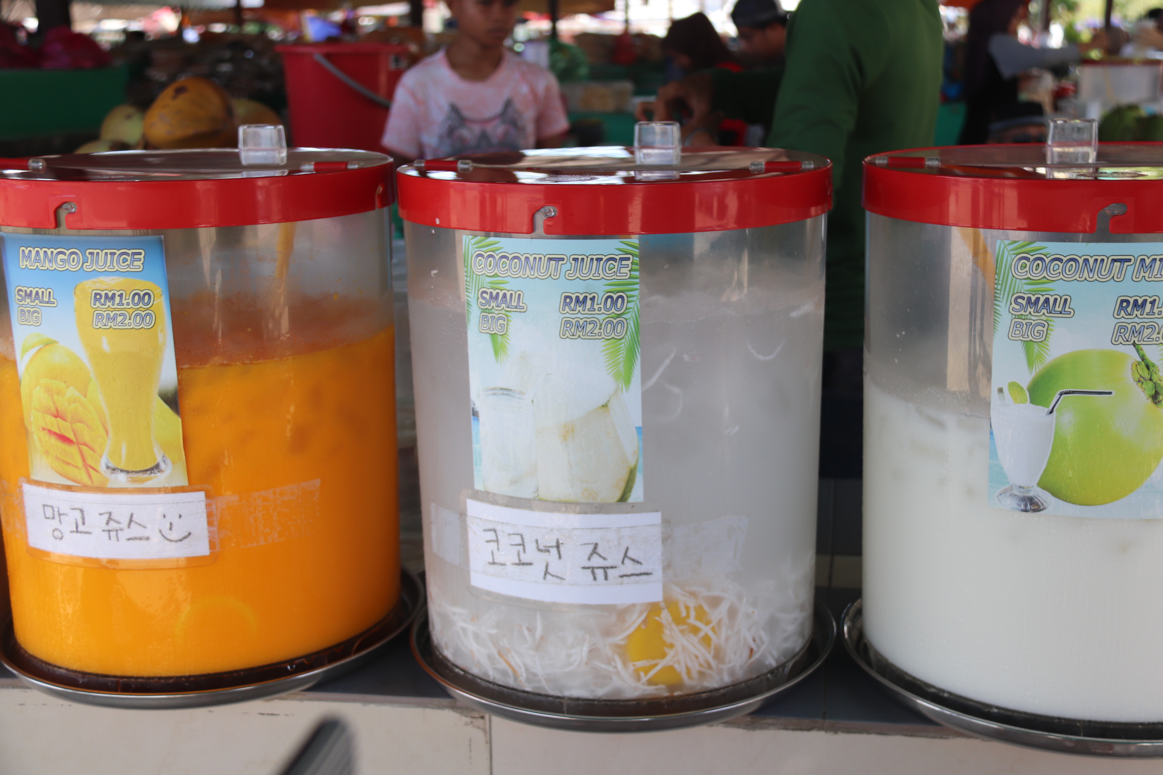 2018马来西亚之旅留影,2019回眸