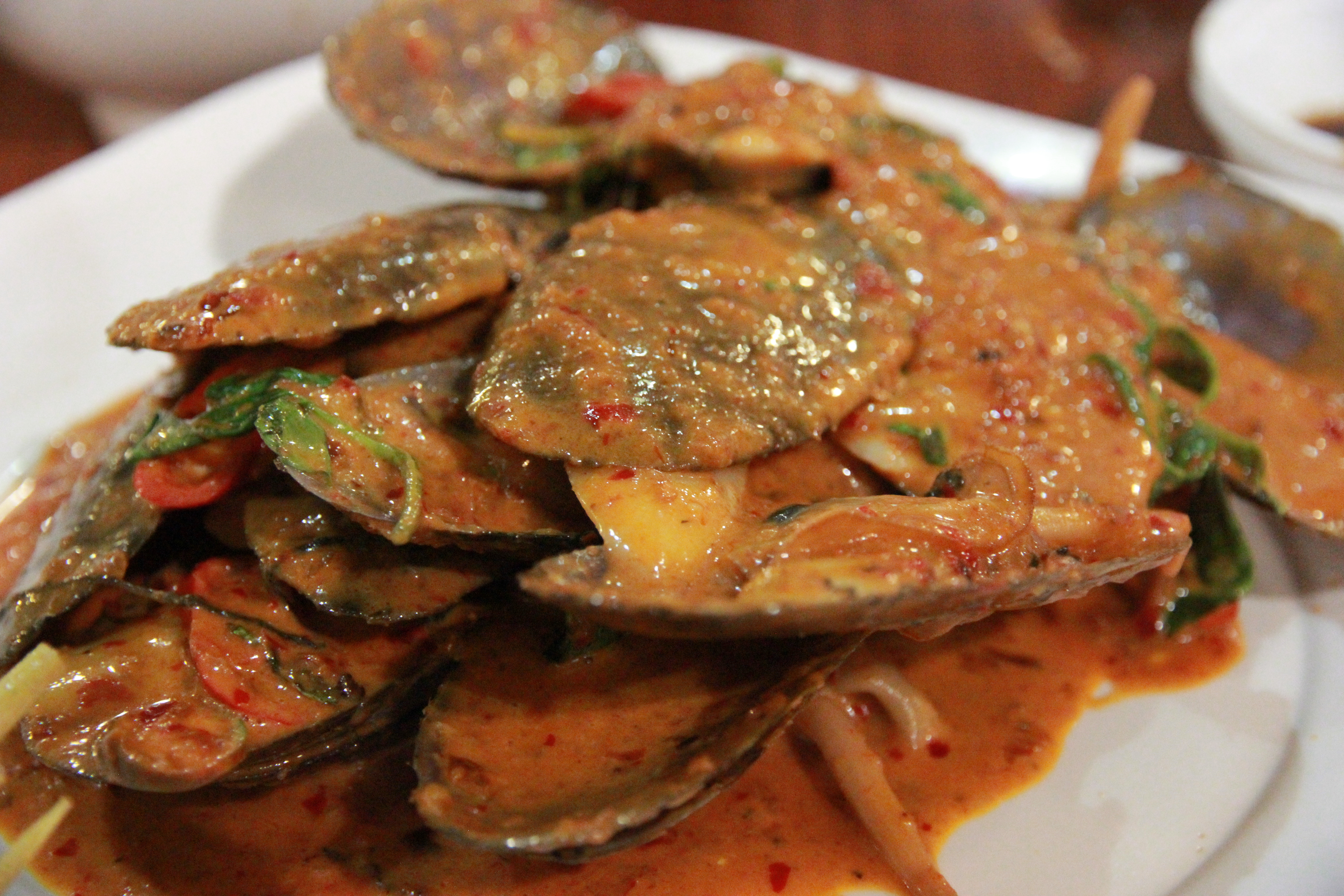 在普吉岛浮潜拍到的美妙海底世界 (普吉岛cape panwa hotel浮潜)