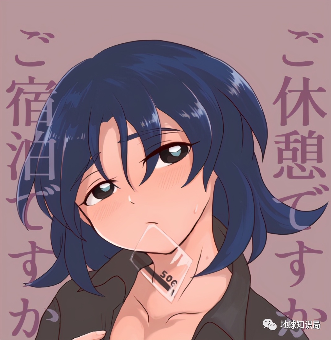 台湾爱情旅馆介绍,什么是地球知识局