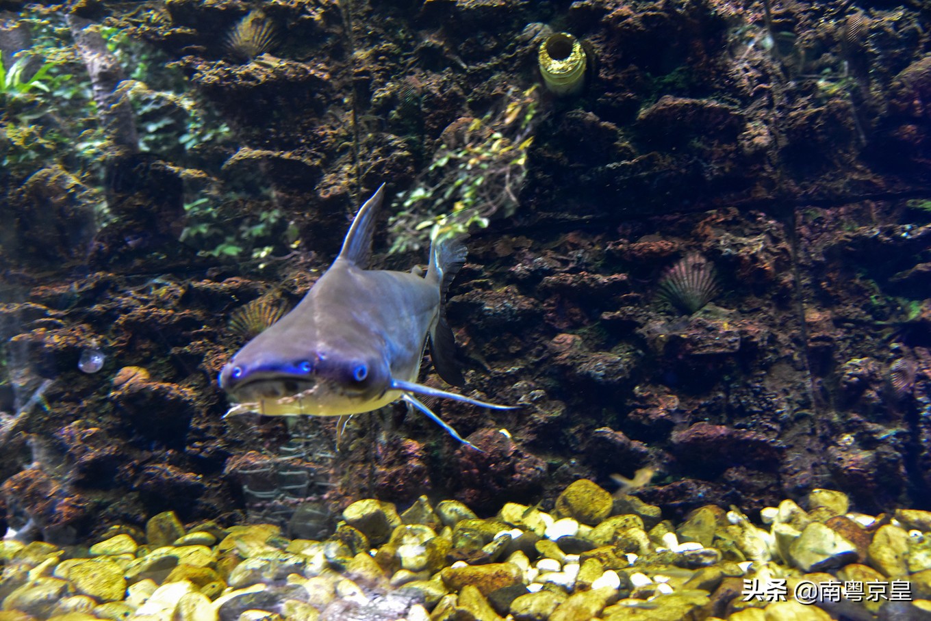 漂流大峡谷古龙峡,古龙峡玻璃大峡谷云天玻霸漂流