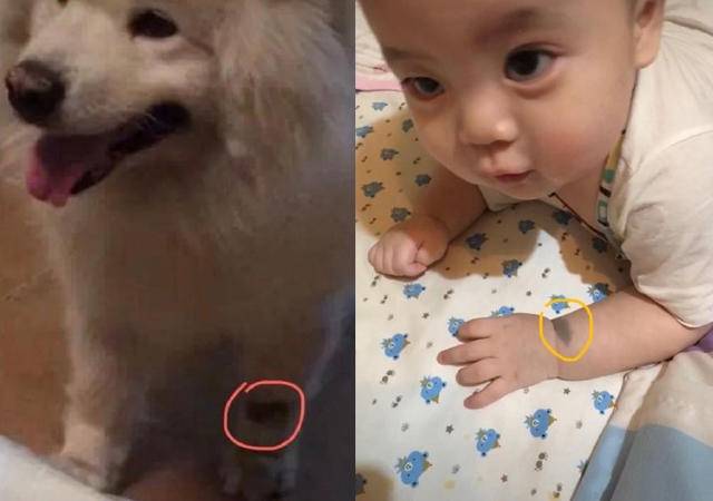 孕妇做什么胎梦预示是女孩,孕妇胎梦哪些预示孩子聪明或健康