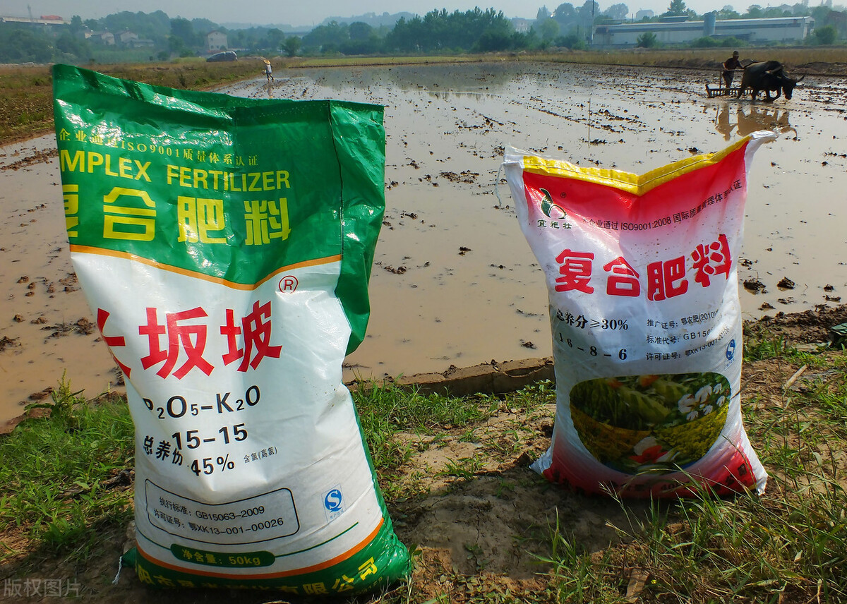 2022年小麦托市价格是多少,今年小麦托市价格多少