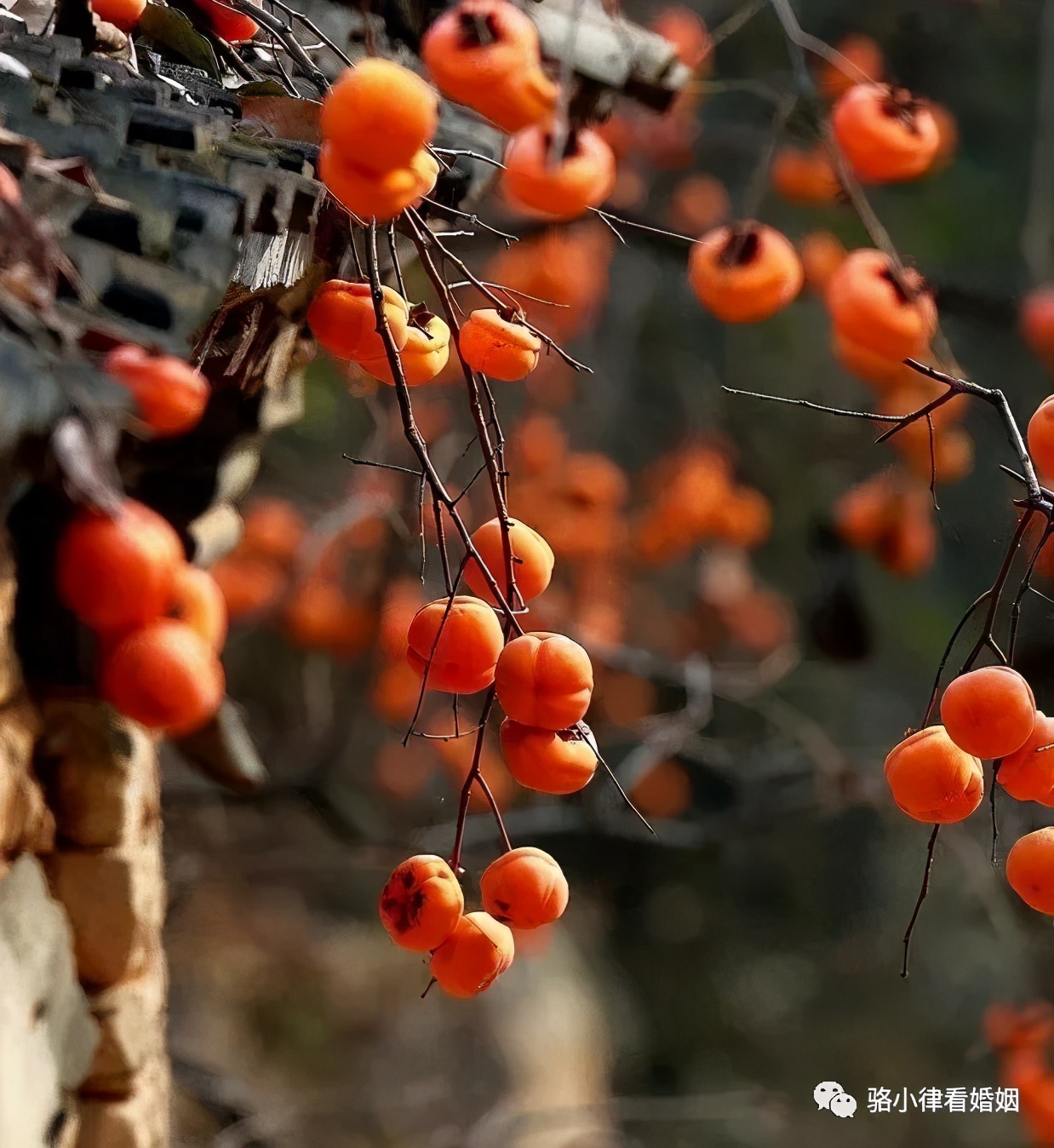 全职太太拿钱,已婚女性怎么存私房钱