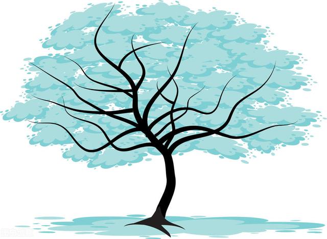 肾不好应该吃什么地黄丸,肾好的人有这5个表现