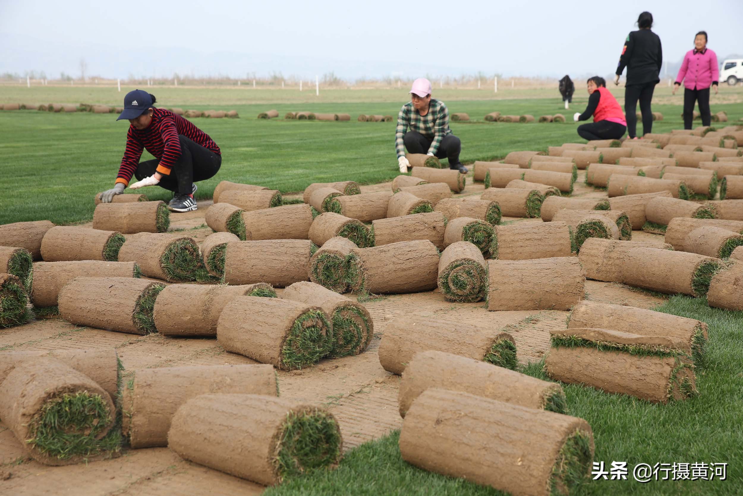 河南一小伙不务正业,小伙不务正业就想卖房卖地
