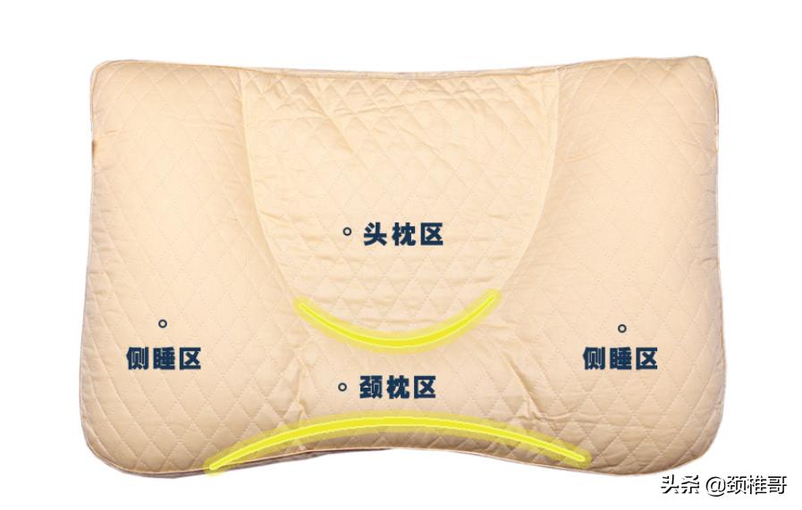 颈椎生理曲度反弓可以去健身房吗,颈椎病反弓原理