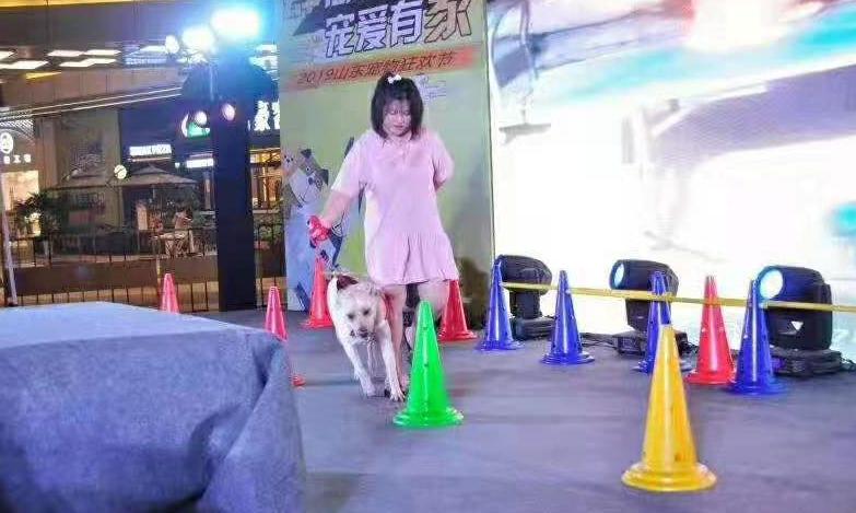 鑲嗘剰涔愭椿灞变笢,鑲嗘剰涔愭椿