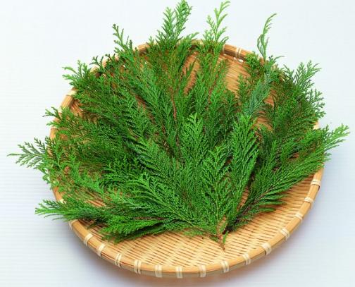 健康管理师越来越吃香,健康管理师真的有那么吃香吗