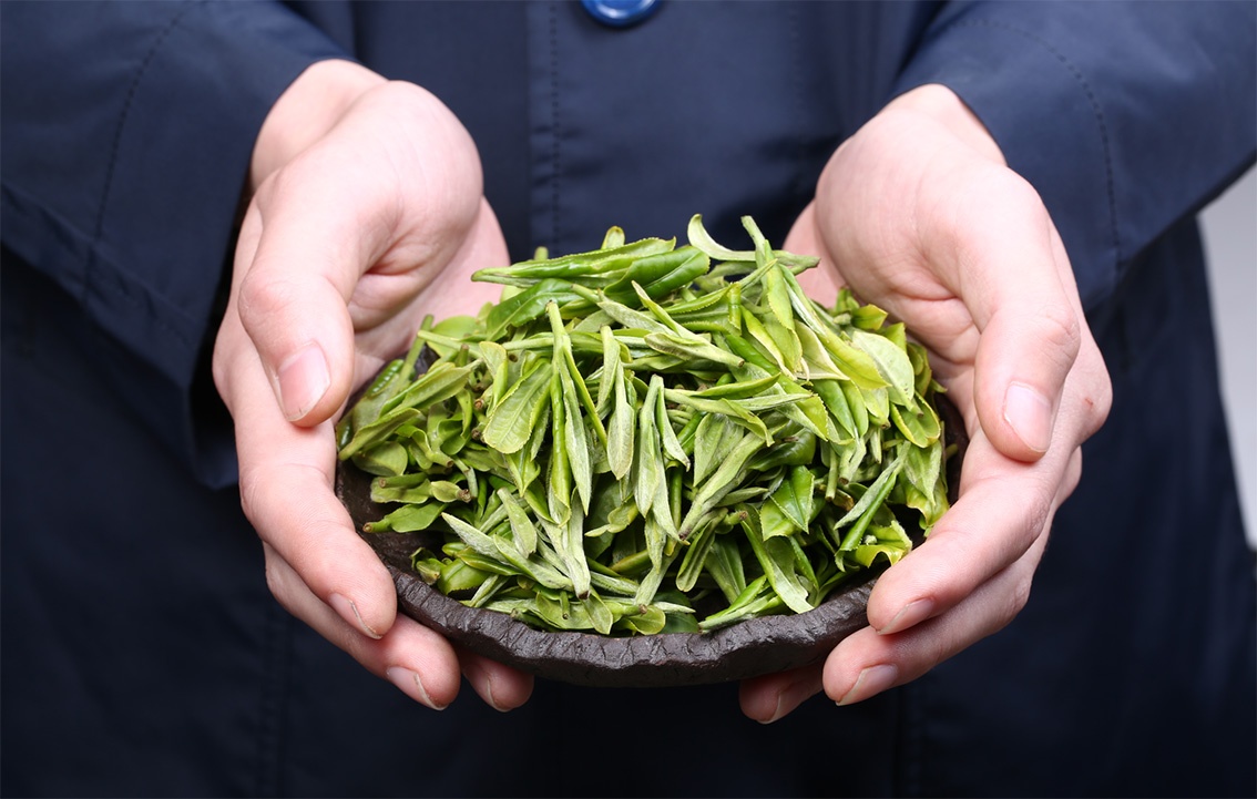 「馥人」李守蜜——福鼎白茶最美茶艺师