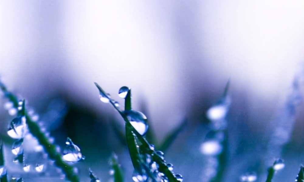 自我鉴定社会实践方面100字,毕业生登记表社会实践自我鉴定