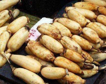 买藕挑选,买莲藕怎么选最好