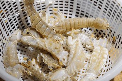 秦皇岛海鲜攻略,秦皇岛淡季海鲜攻略