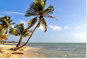 伯利兹：没有鞋子，没有手表，没有忧虑