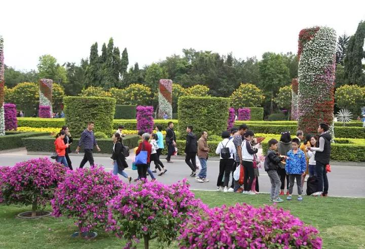 东南花都花博园景观,东南花都花博园