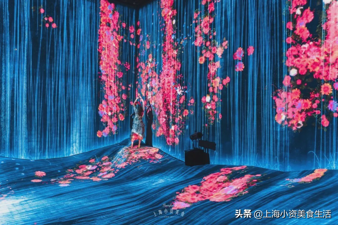 在上海只需要做三件事,在魔都必做的50件事