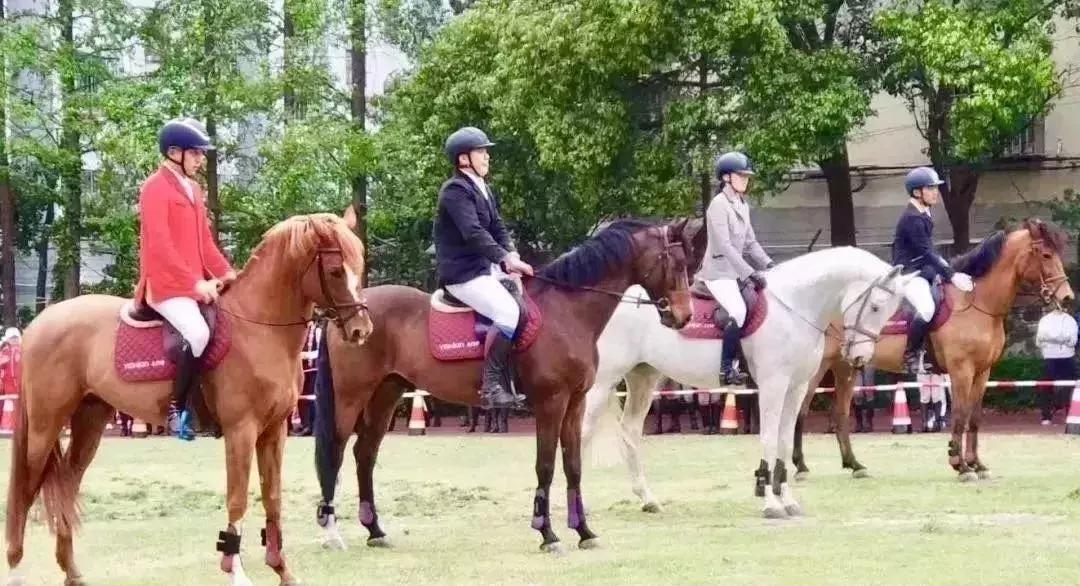 上海网球特色小学排名,上海各区体育特色学校