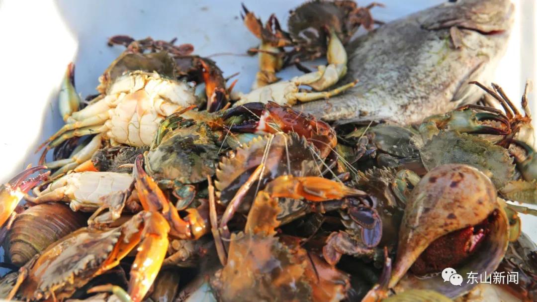 海上去哪玩,东山岛海边哪里有螃蟹抓