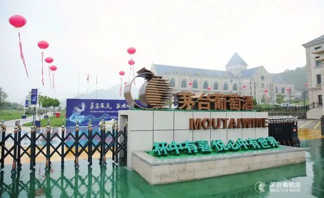 茅台葡萄酒定价3299元你会买吗,最便宜的茅台葡萄酒