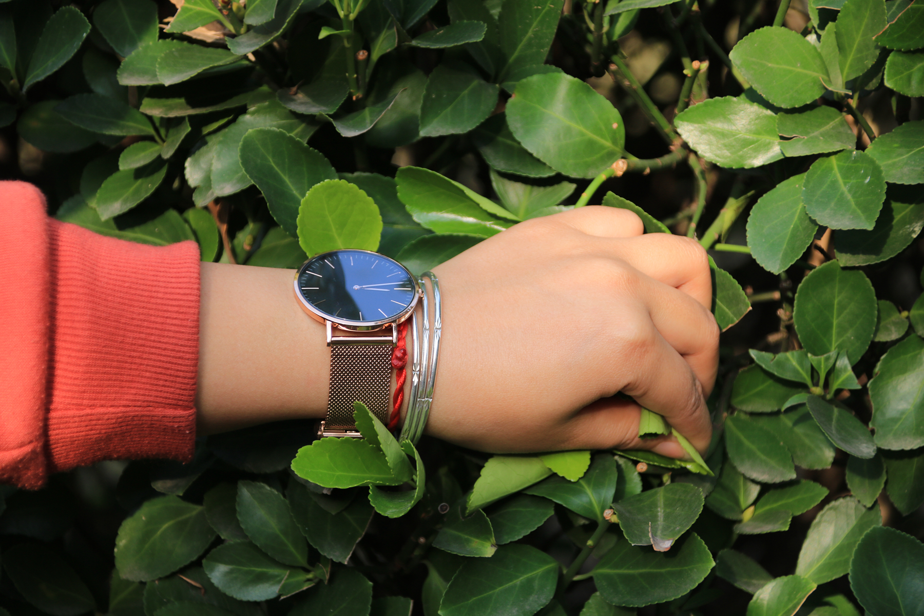 鐧惧厓灏忕背鎵嬭〃,灏忕背鎵嬭〃鐧惧厓