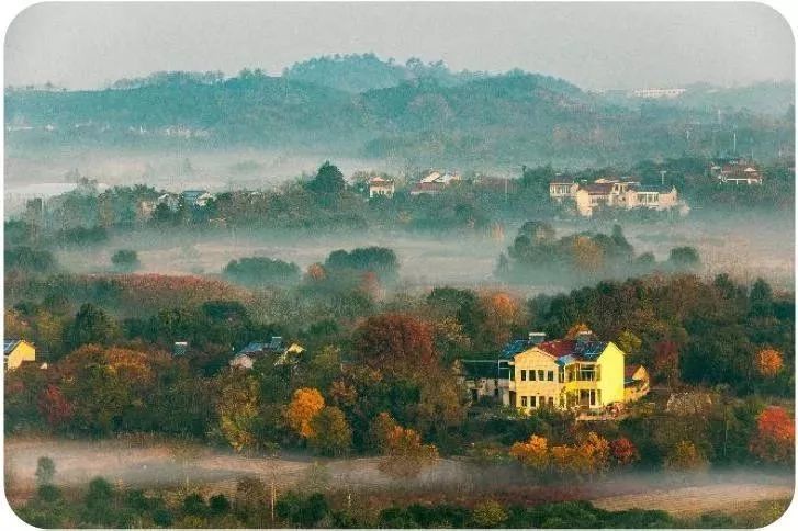 江苏无锡最美乡村前十名,无锡全国农业旅游示范点有哪些