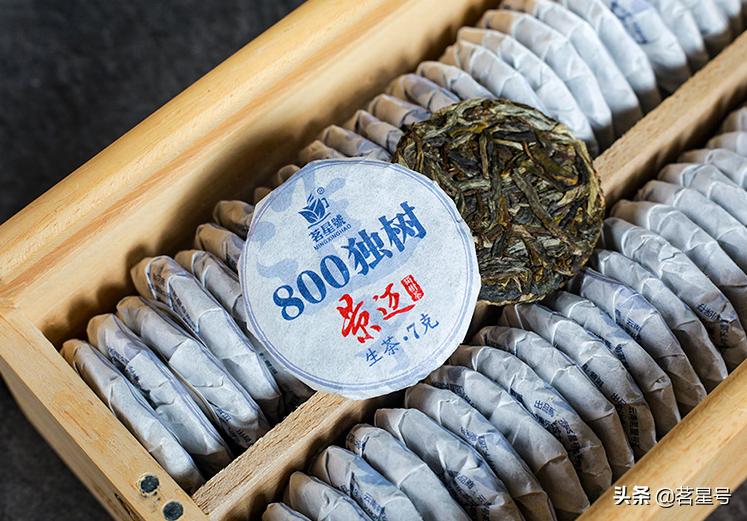 景迈山的普洱茶特征,如何识别景迈茶叶片