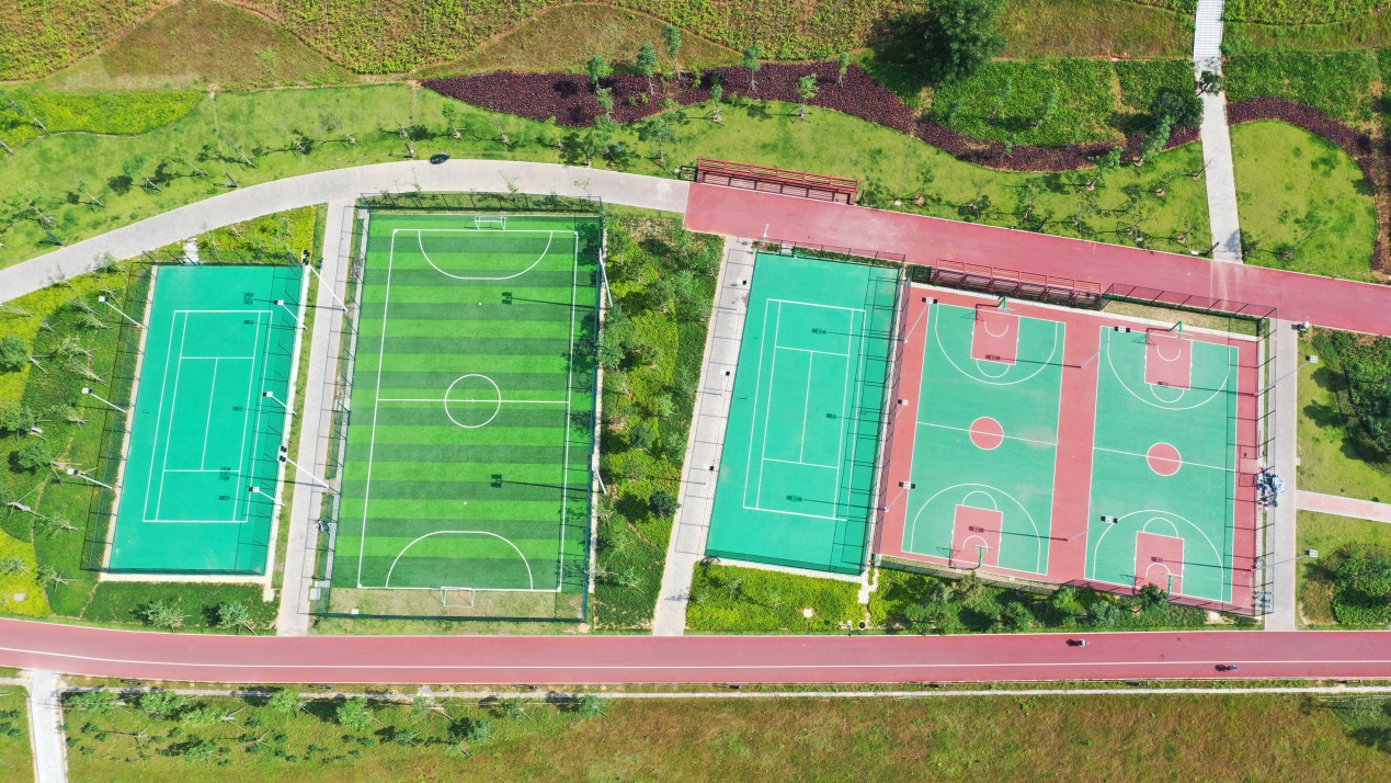 在南宁适合一个人去的地方,在南宁一个人适合去哪里散心