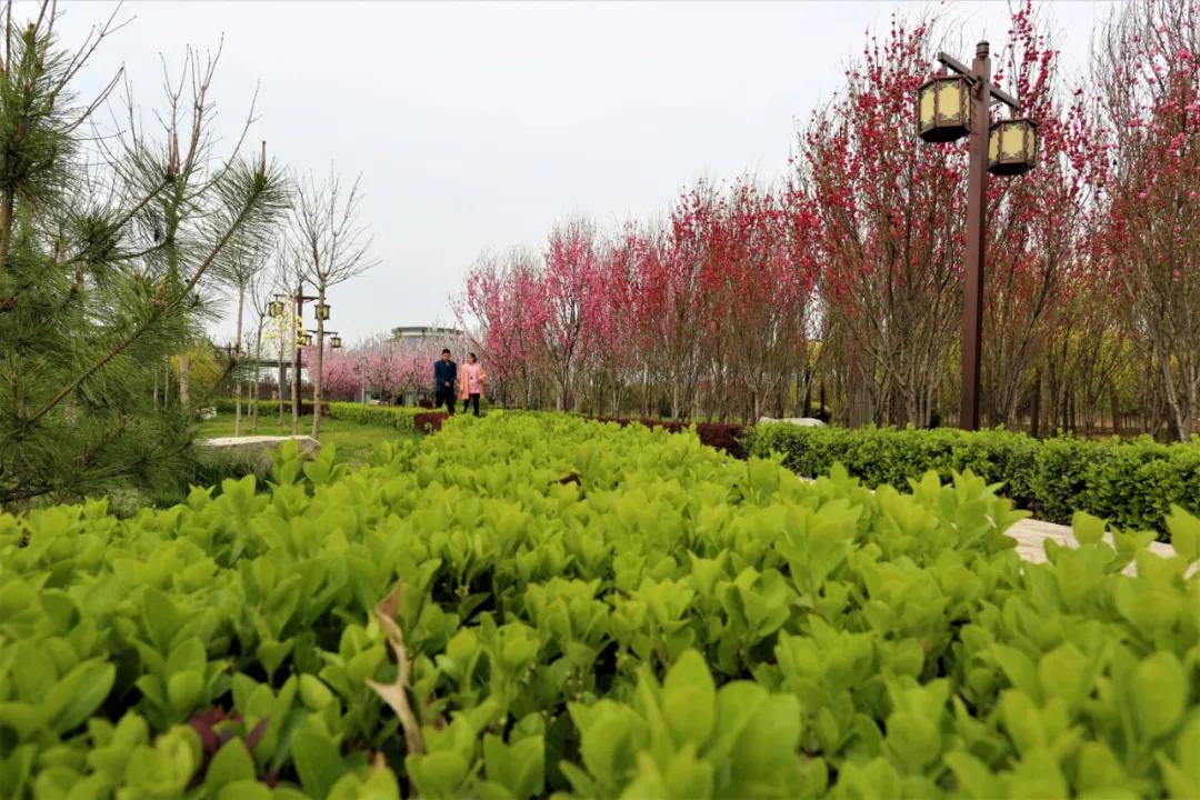 赏鹊林叠翠游魅力李鹊——“好品李鹊”杯短视频大赛开始啦