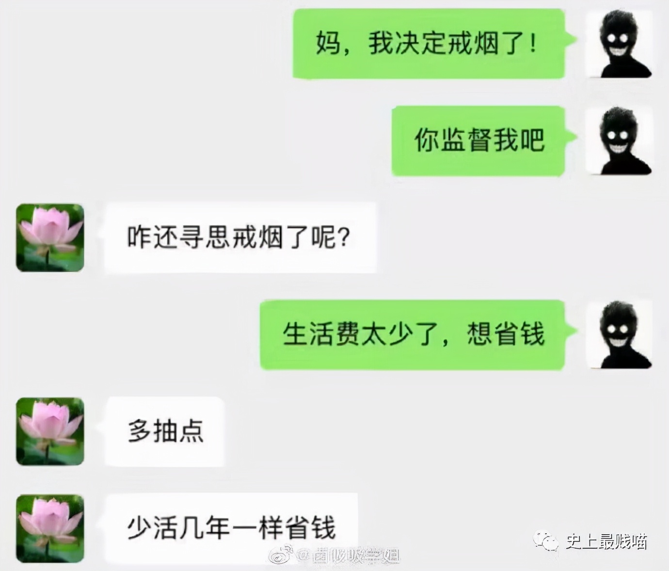 开一家养鸡场需要投入多少钱,开个养鸡场需要办什么手续