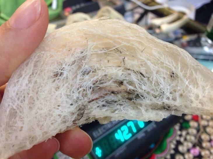 认识燕窝,带你走进神奇的燕窝世界