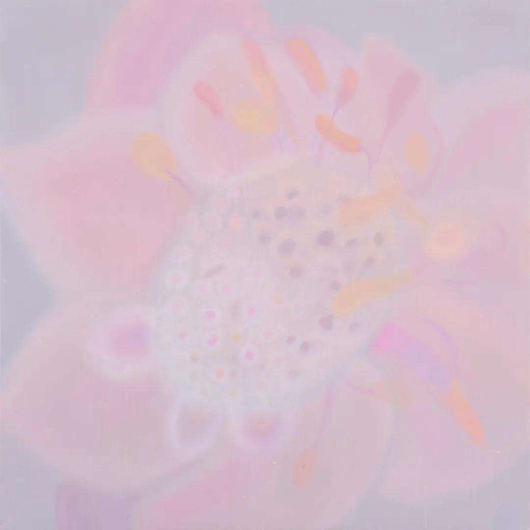 京美三人中必有我师焉，择其善者而从之