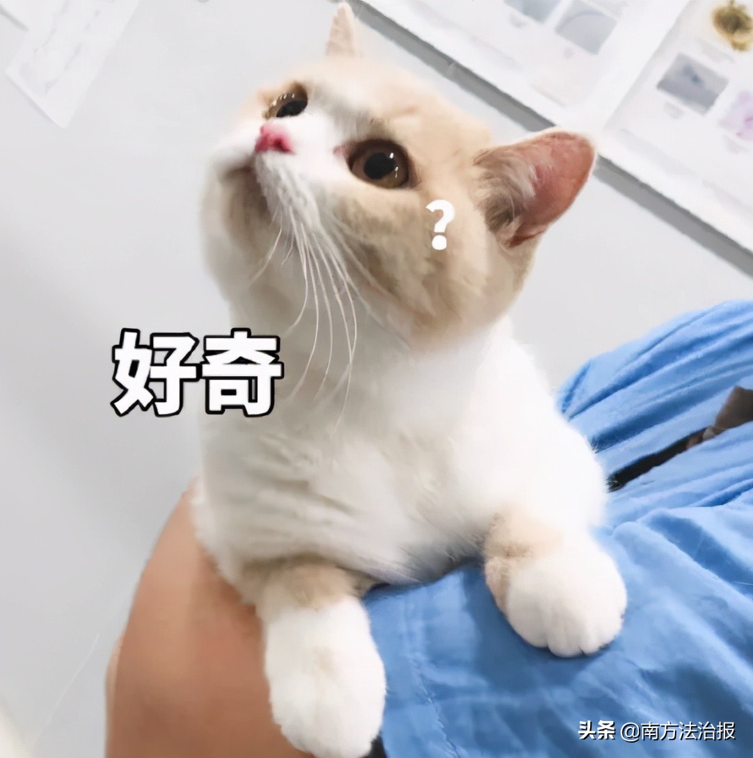 特别吓人的幼儿园,幼儿园里的神秘怪物